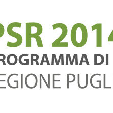 PSR_set_logo PSR_set_logo